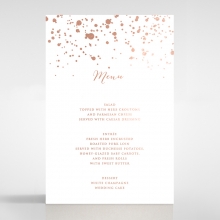 star-dust-wedding-venue-menu-card-stationery-DM116119-GW-RG