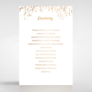 fire-sparkle-order-of-service-stationery-invite-card-DG116073-GW-MG