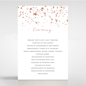 Star Dust wedding order of service invitation