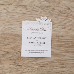 chic-laser-cut-save-the-date-wedding-card-DTS114063